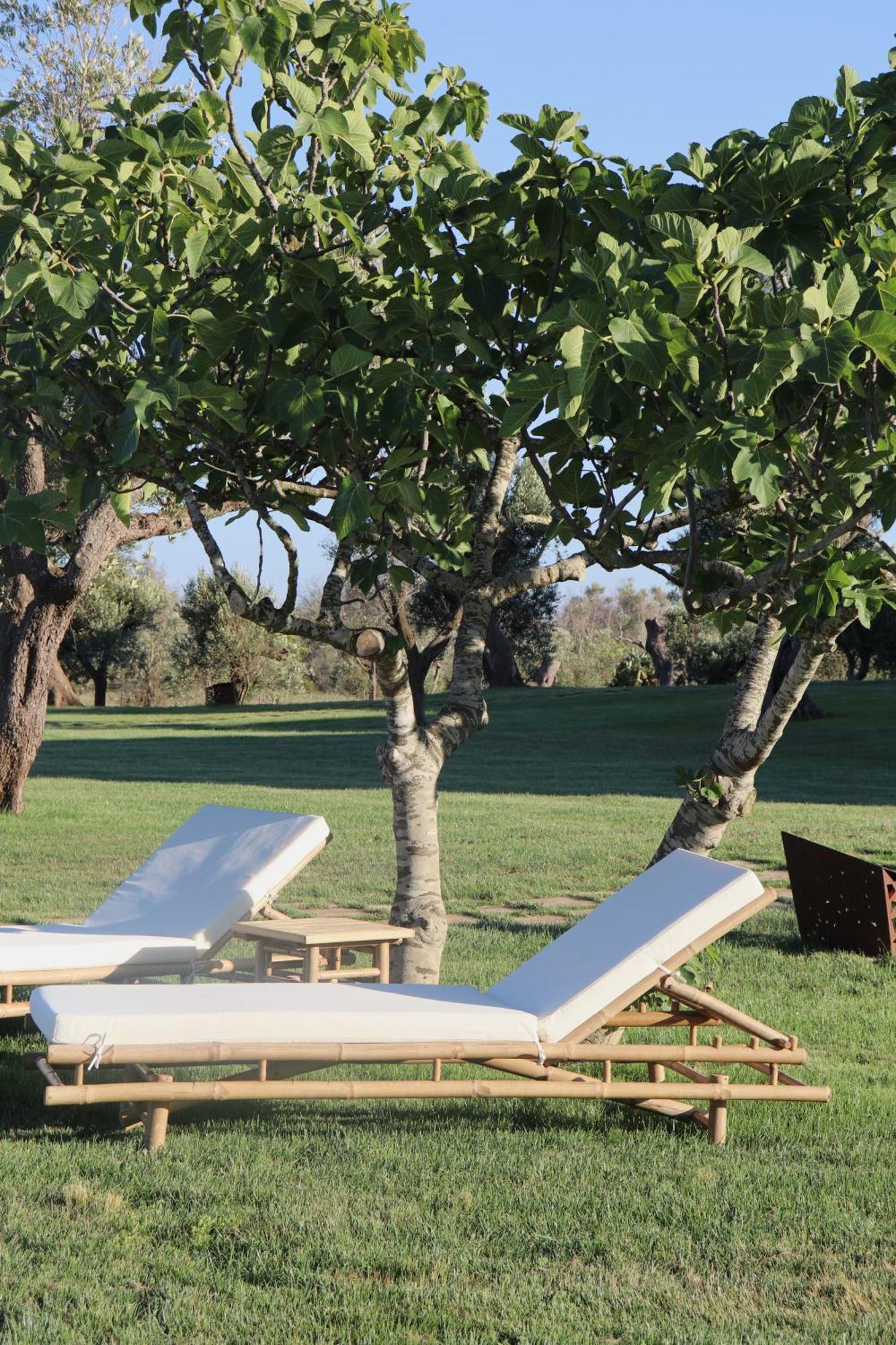 Secolario Masseria Del Viverbene Palmariggi Dış mekan fotoğraf